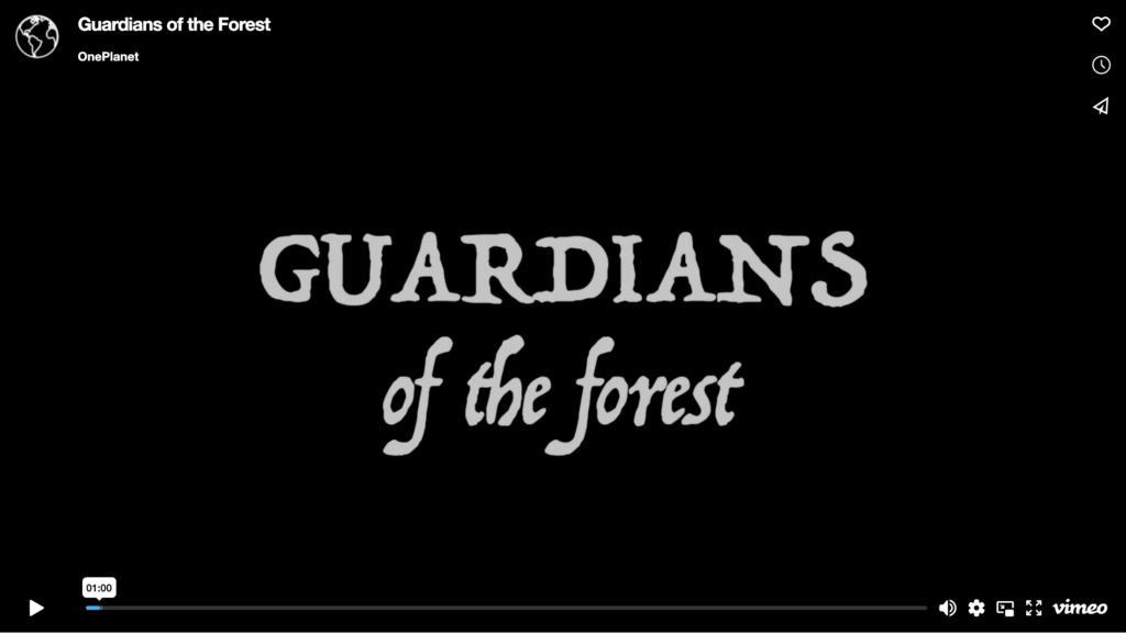 Guardians of the Forest Trailer